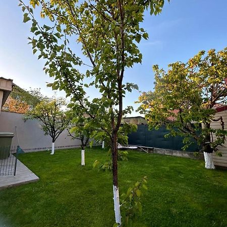 Casa Verde Constanţa Exteriér fotografie