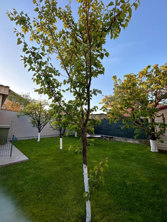 Casa Verde Constanţa Exteriér fotografie